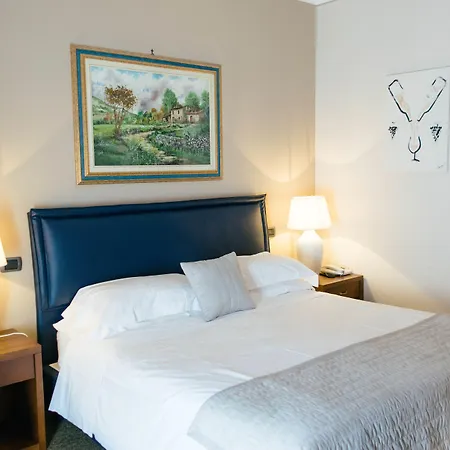Villa San Carlo-2